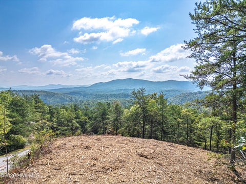 Vacant Land For Sale - LOT 157 Crossover Lane<br/> Murphy, NC 28906