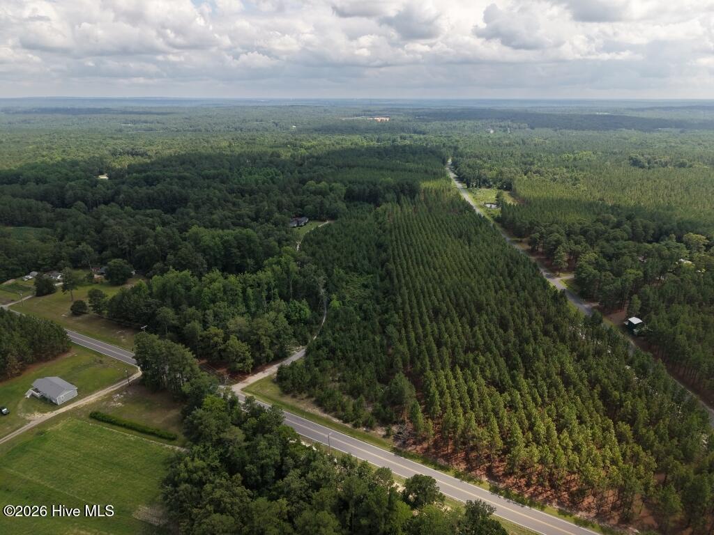 Photo of 1581 Doubs Chapel Road, West End, NC 27376 (MLS # 100610550)
