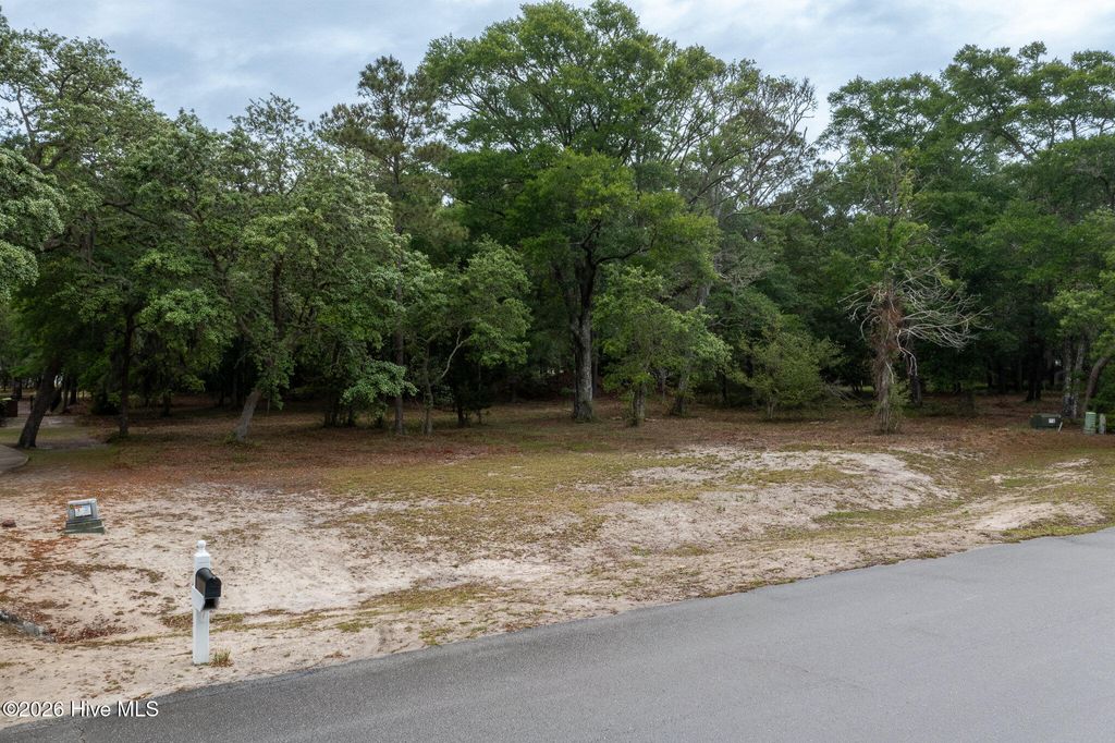 Photo of 3331 Stone Crab Court SW, Supply, NC 28462 (MLS # 100572676)