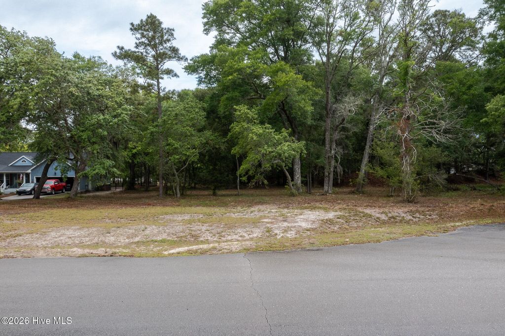 Photo of 3331 Stone Crab Court SW, Supply, NC 28462 (MLS # 100572676)