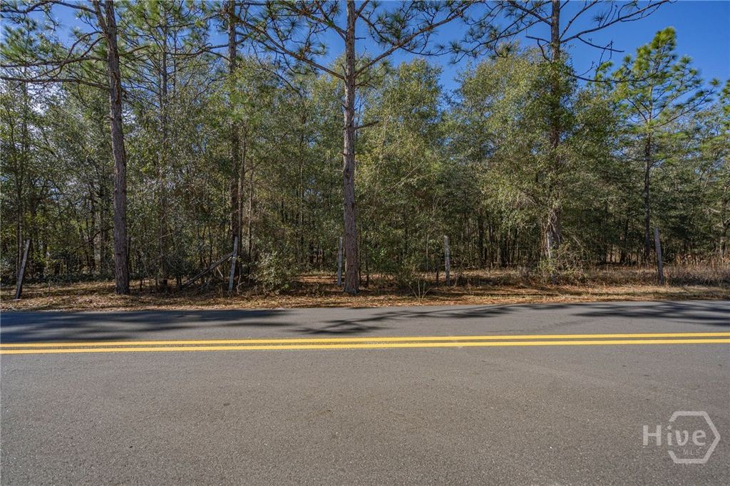 Photo of 0 Holly Drive, Eden, GA 31307 (MLS # SA346248)