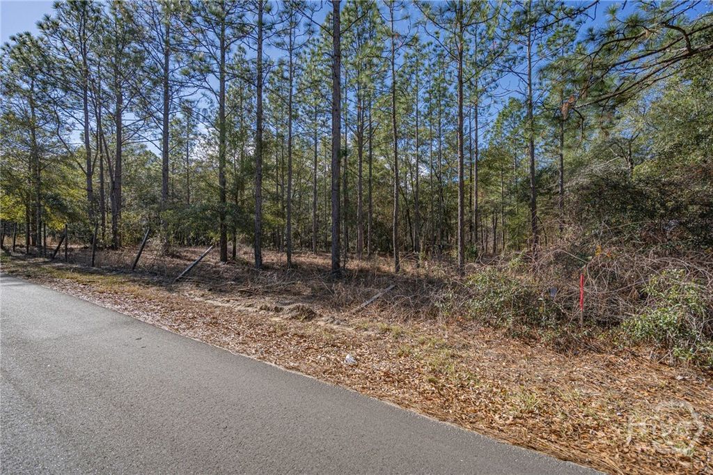Photo of 0 Holly Drive, Eden, GA 31307 (MLS # SA346248)
