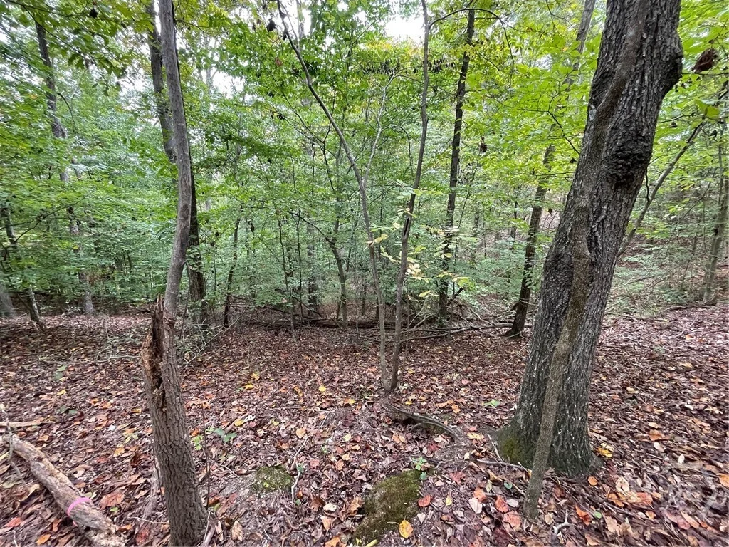 Lot 296 Oconee Avenue, Westminster, SC, 29693