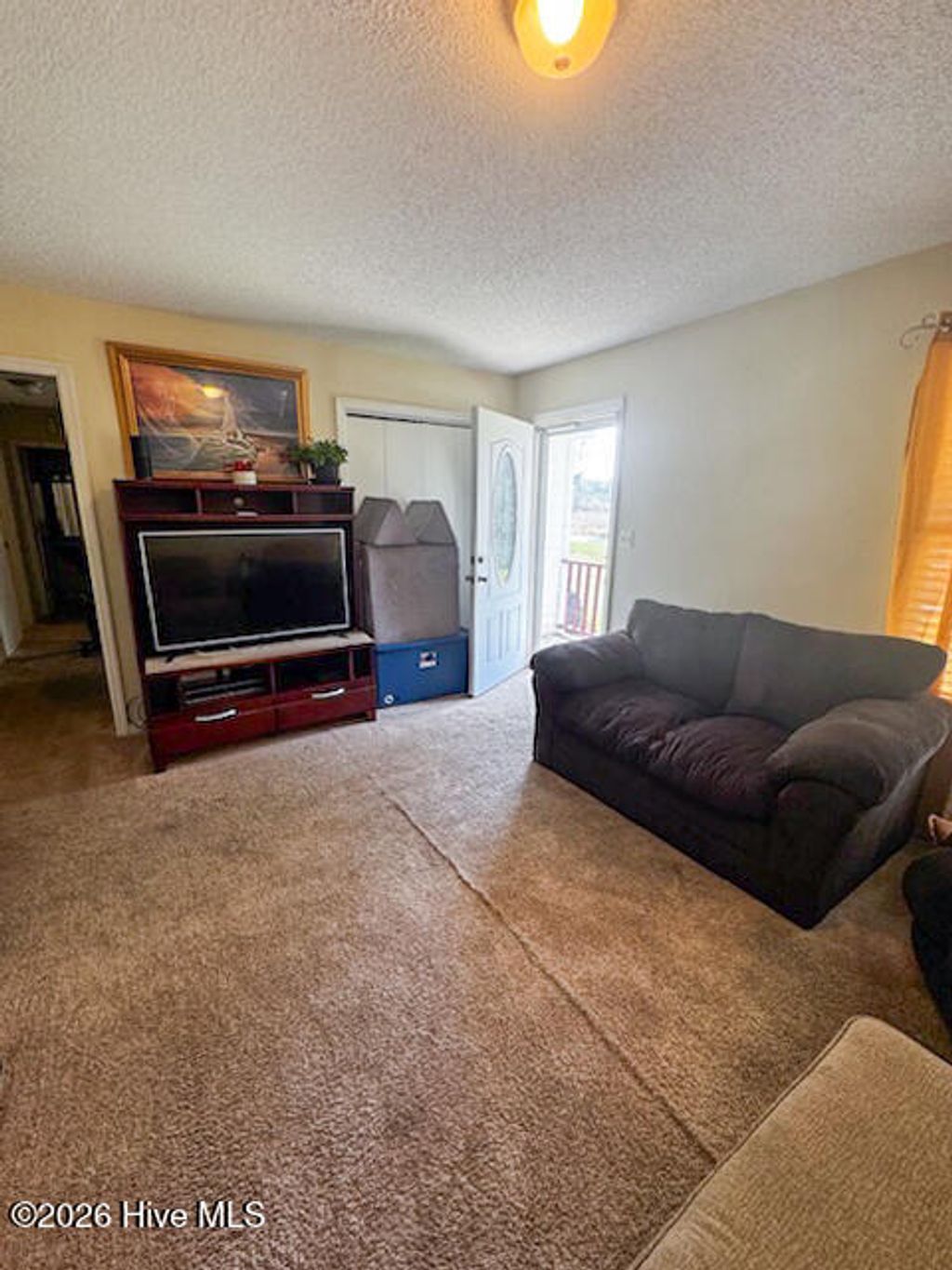 Photo of 208 Holloman Road, Ahoskie, NC 27910 (MLS # 100565272)