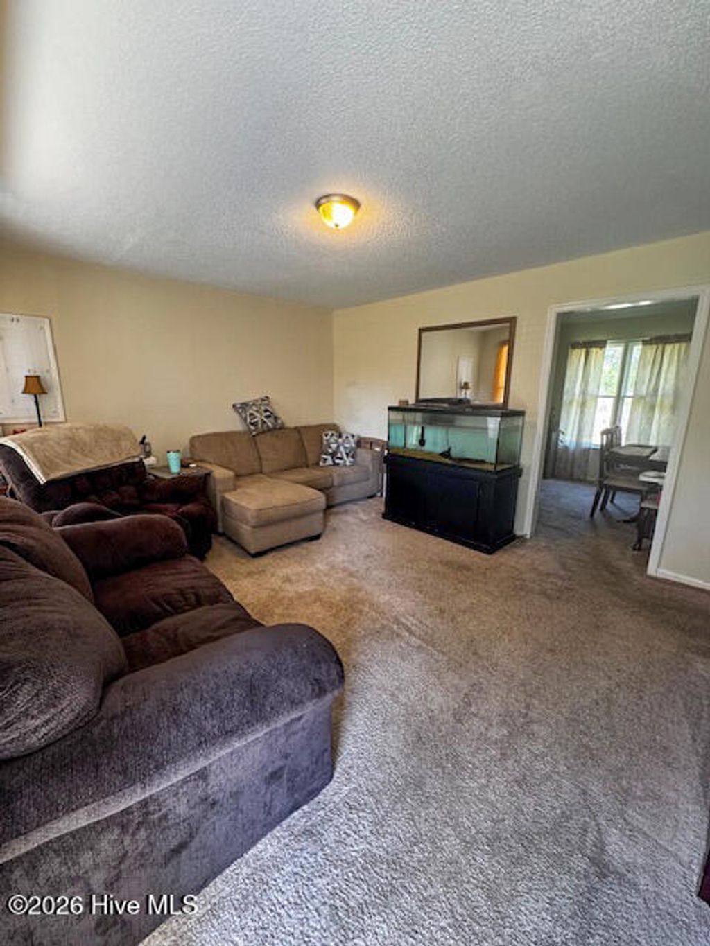 Photo of 208 Holloman Road, Ahoskie, NC 27910 (MLS # 100565272)