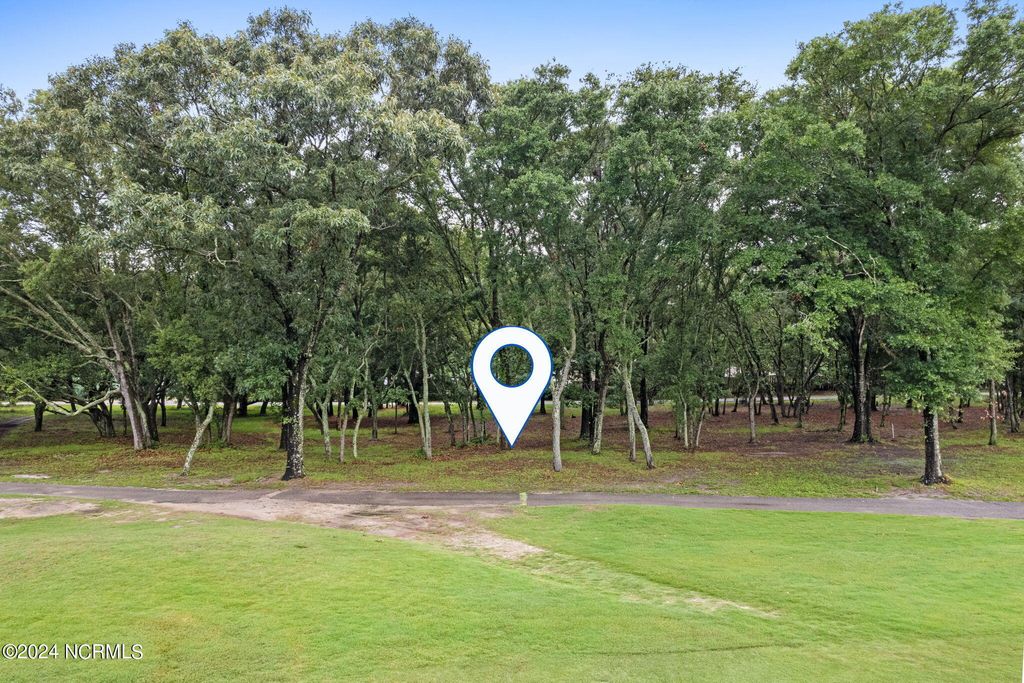 Photo of 3080 Purple Finch Lane SW, Supply, NC 28462 (MLS # 100456942)