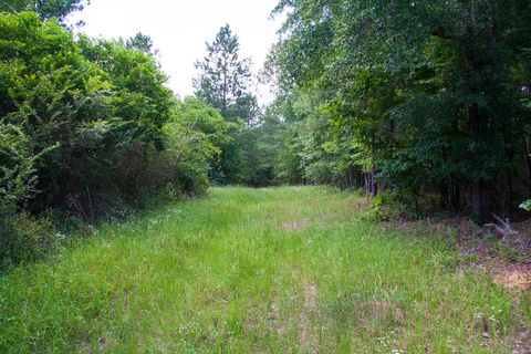 Vacant Land For Sale - 1515D Hephzibah - Mcbean Road<br/> Hephzibah, GA 30815
