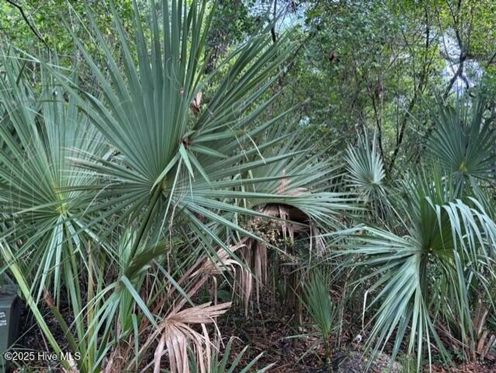 Photo of 207 Muscadine Wynd, Bald Head Island, NC 28461 (MLS # 100512623)
