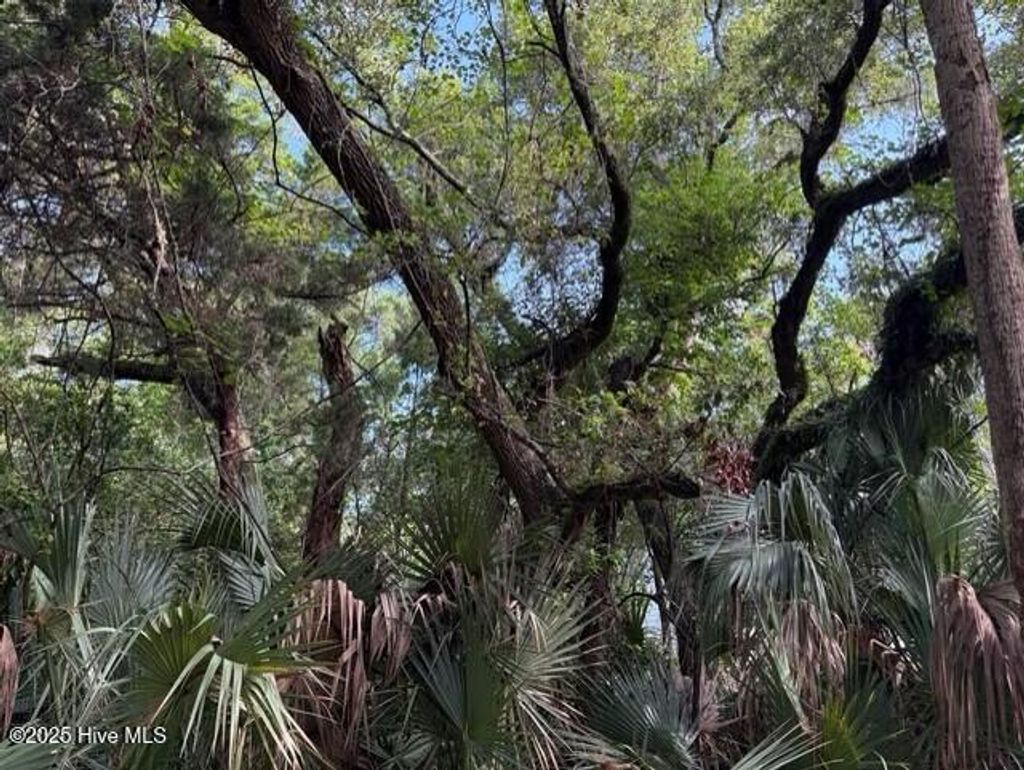 Photo of 207 Muscadine Wynd, Bald Head Island, NC 28461 (MLS # 100512623)