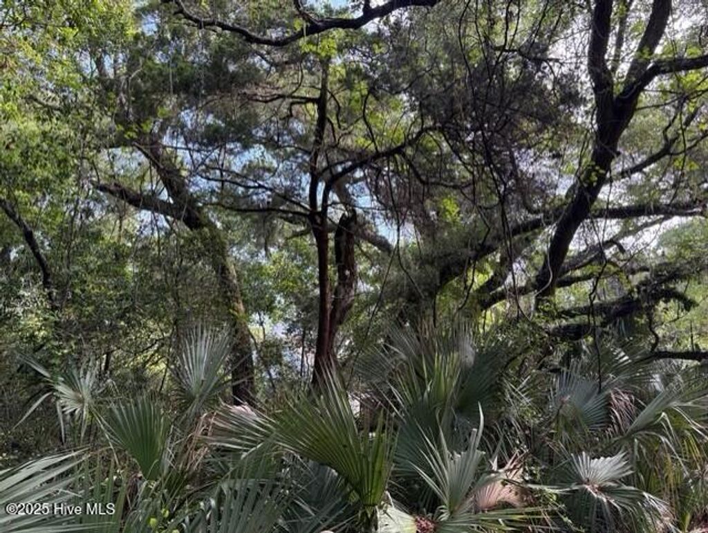 Photo of 207 Muscadine Wynd, Bald Head Island, NC 28461 (MLS # 100512623)