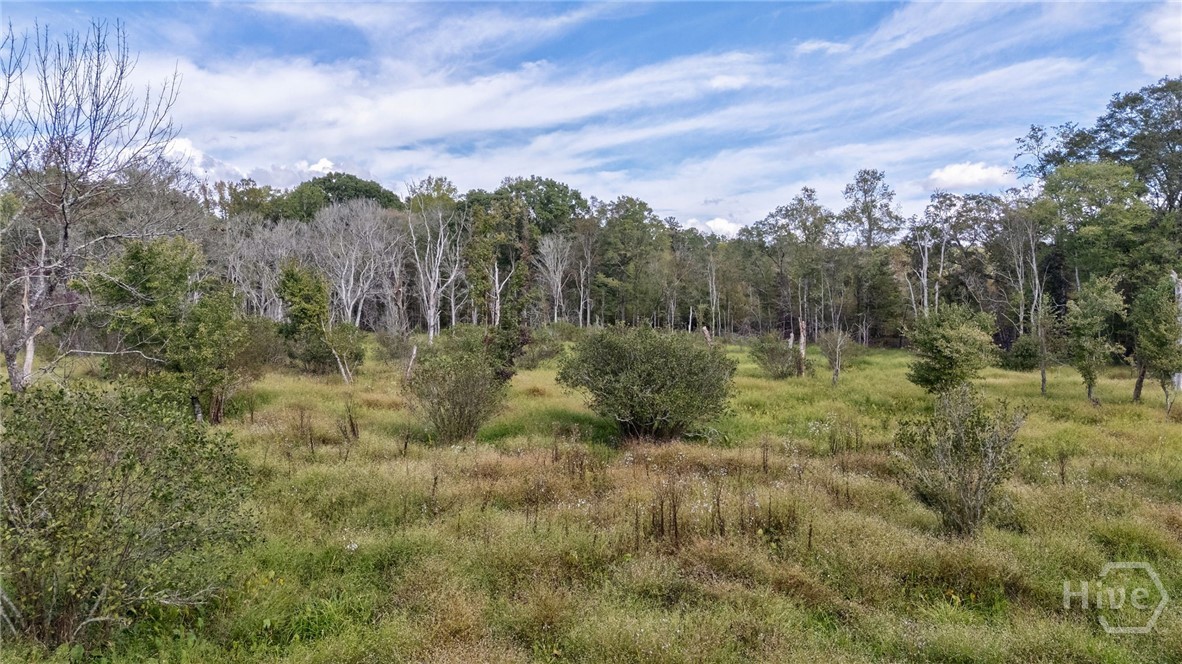 0 Old Salem Rd Tract 2,3,4