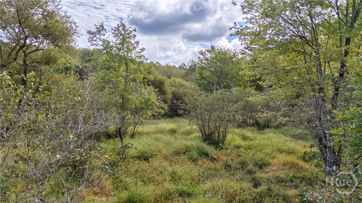 0 Old Salem Rd Tract 2,3,4