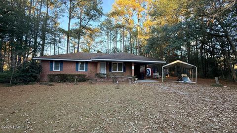 Homes For Sale - 160 Pinewood Drive<br/> Arapahoe, NC 28510
