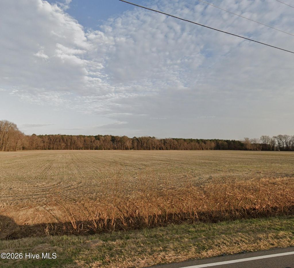 Photo of 0 Rountree Road, Winterville, NC 28590 (MLS # 100552927)
