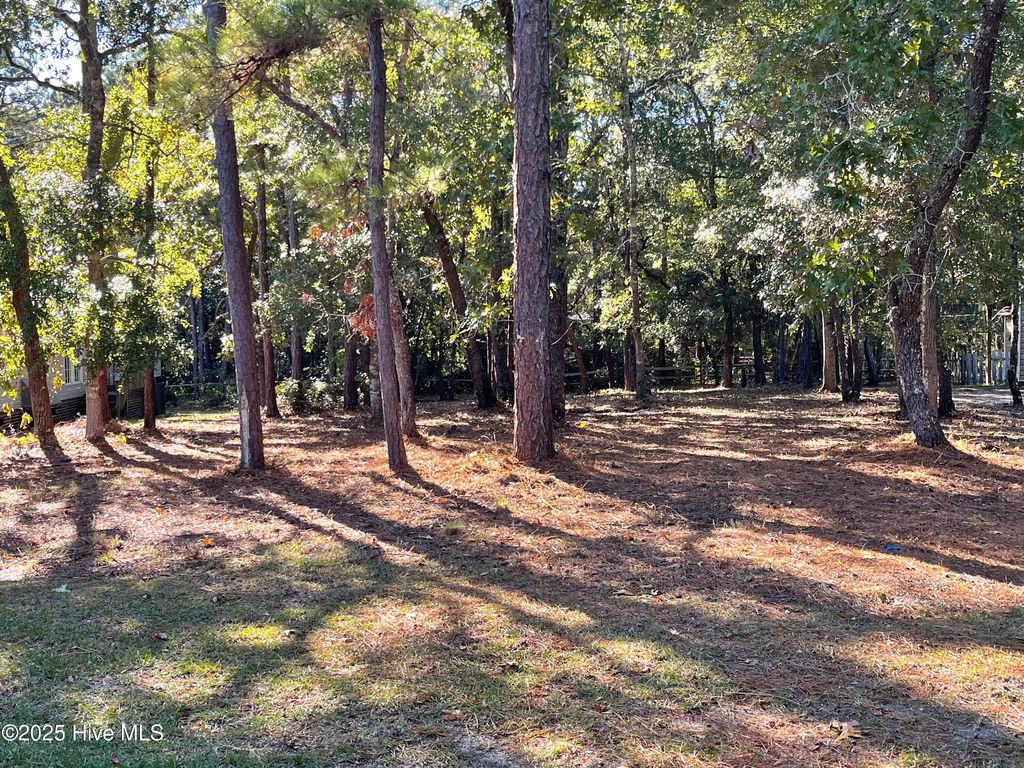 Photo of 3527 Tarpon Court SE, Bolivia, NC 28422 (MLS # 100526164)