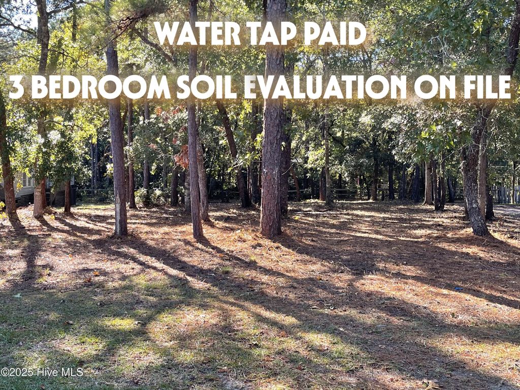 Photo of 3527 Tarpon Court SE, Bolivia, NC 28422 (MLS # 100526164)