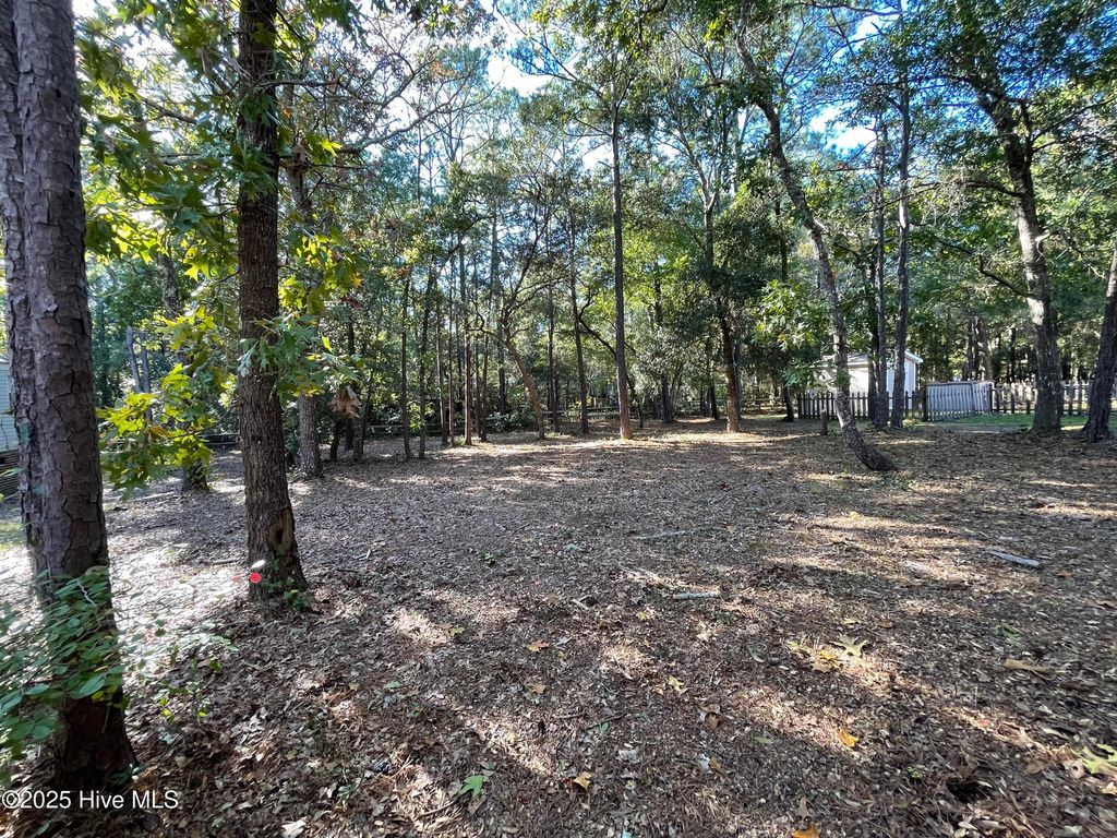 Photo of 3527 Tarpon Court SE, Bolivia, NC 28422 (MLS # 100526164)