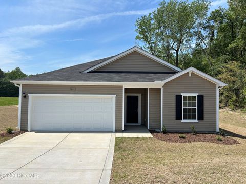 Homes For Sale - 111 Rubyfield Court<br/> Fremont, NC 27830