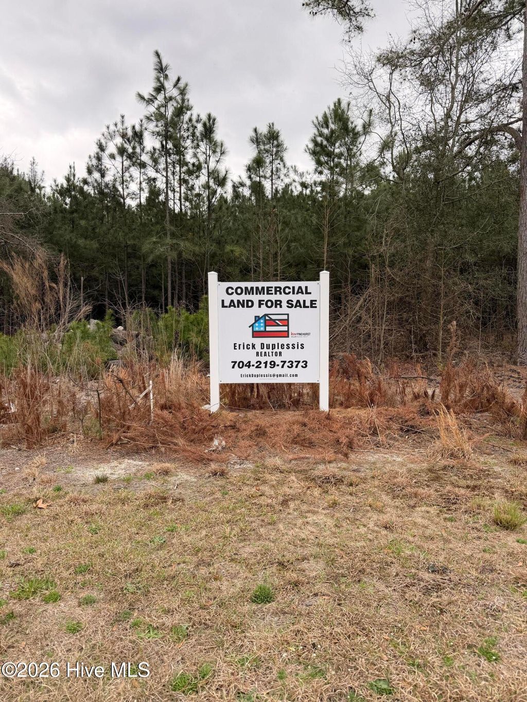 Photo of 5125 Us 1 Highway, Vass, NC 28394 (MLS # 100560371)