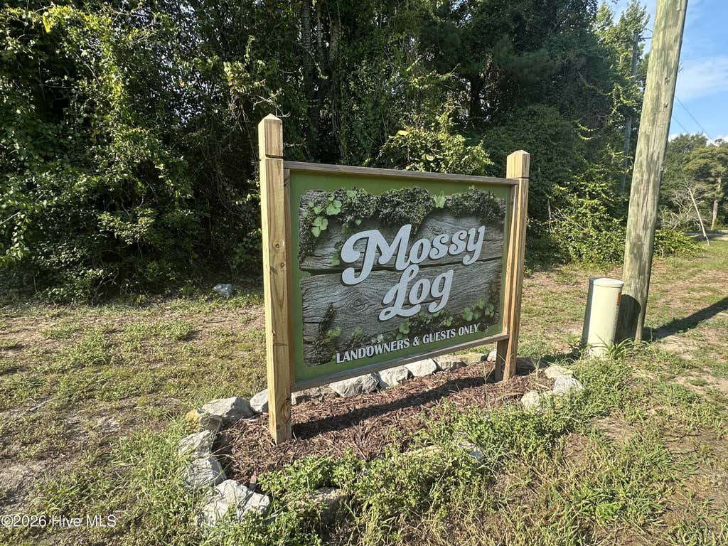 Photo of 43 Black River Lane, Harrells, NC 28444 (MLS # 100596679)