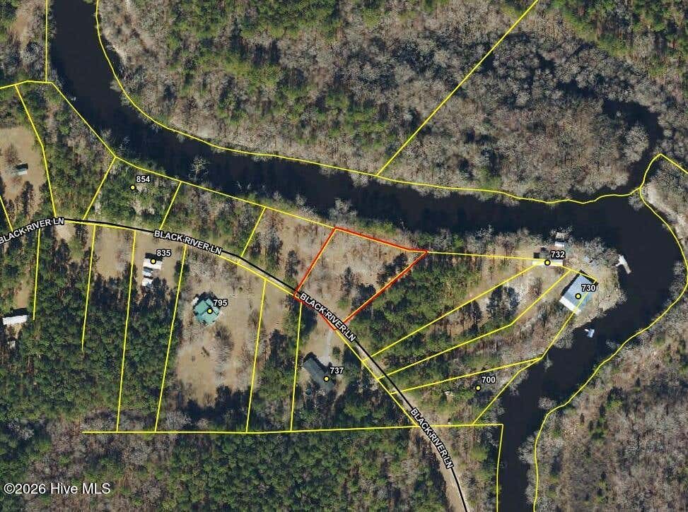 Photo of 43 Black River Lane, Harrells, NC 28444 (MLS # 100596679)