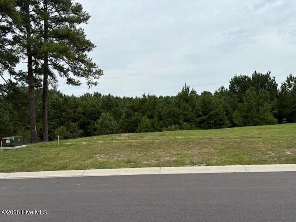 Photo of 976 Montclair Place SW, Sunset Beach, NC 28468 (MLS # 100591342)