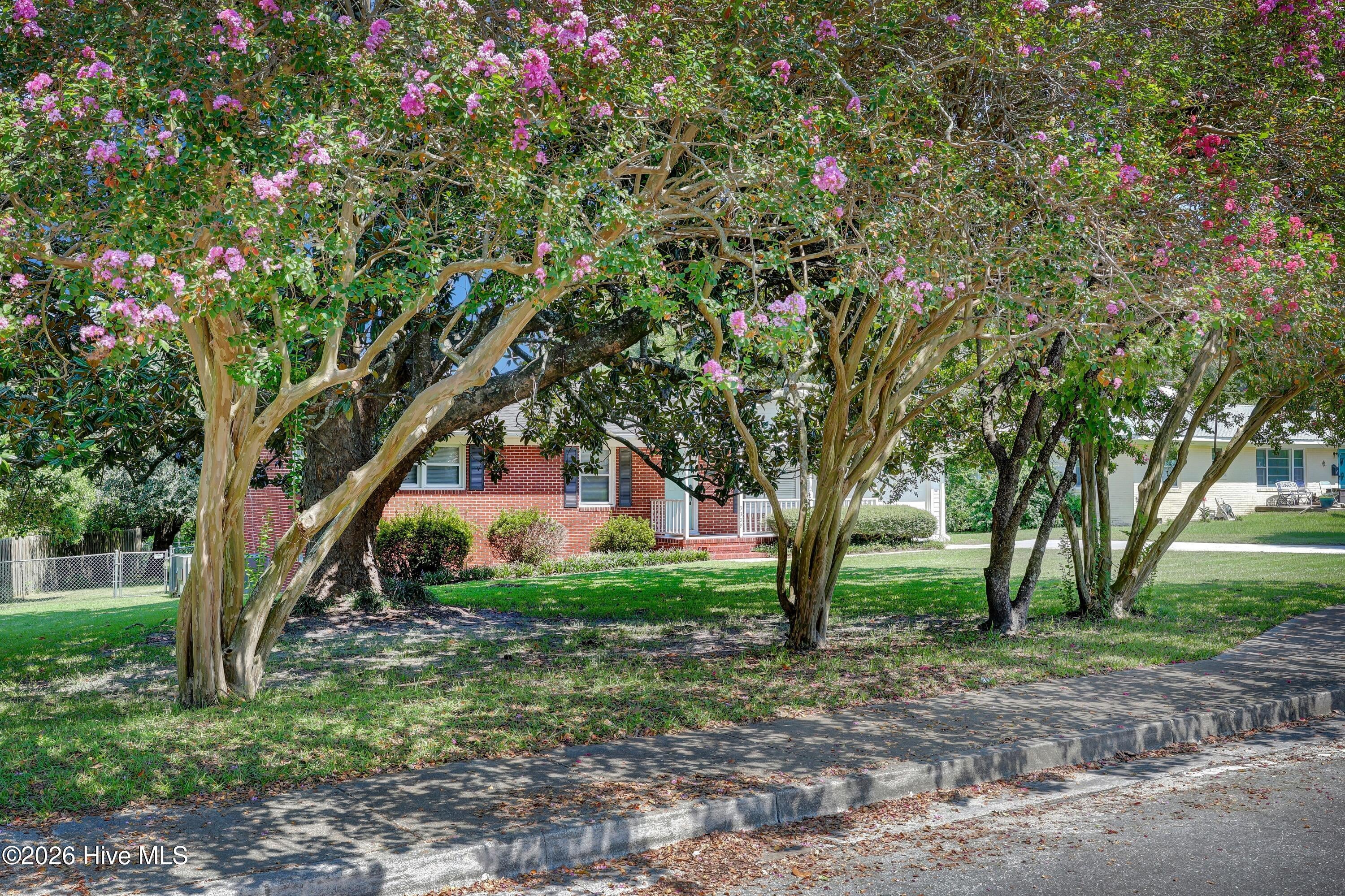 3309 Winston Boulevard