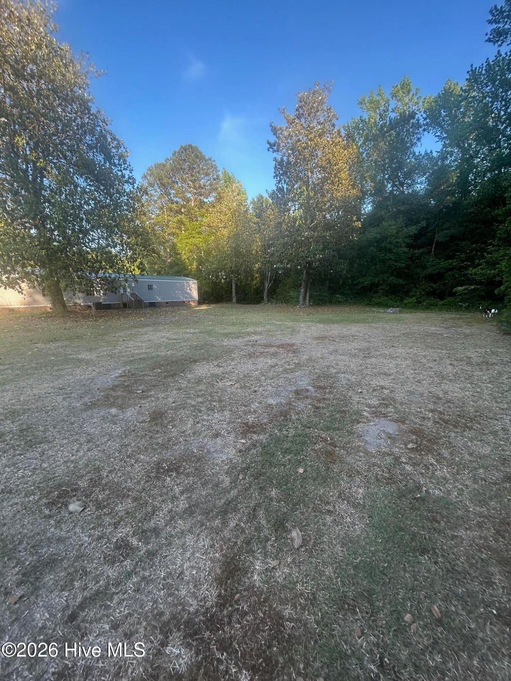 Photo of 407 Croom Street, Magnolia, NC 28453 (MLS # 100571922)