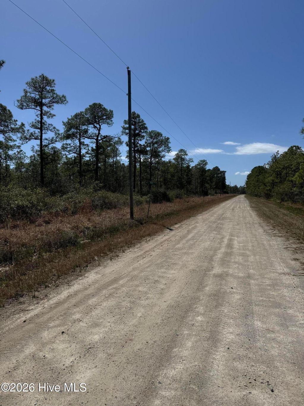 Photo of 21 New Hanover Road, Boiling Spring Lakes, NC 28461 (MLS # 100555533)