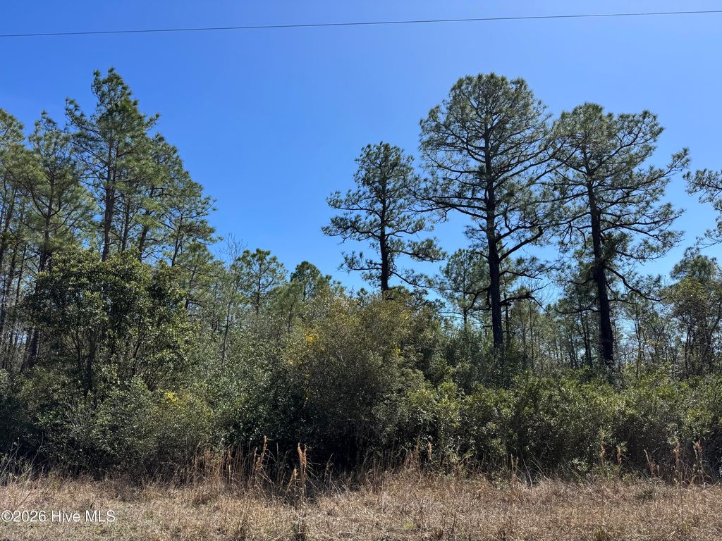 Photo of 21 New Hanover Road, Boiling Spring Lakes, NC 28461 (MLS # 100555533)