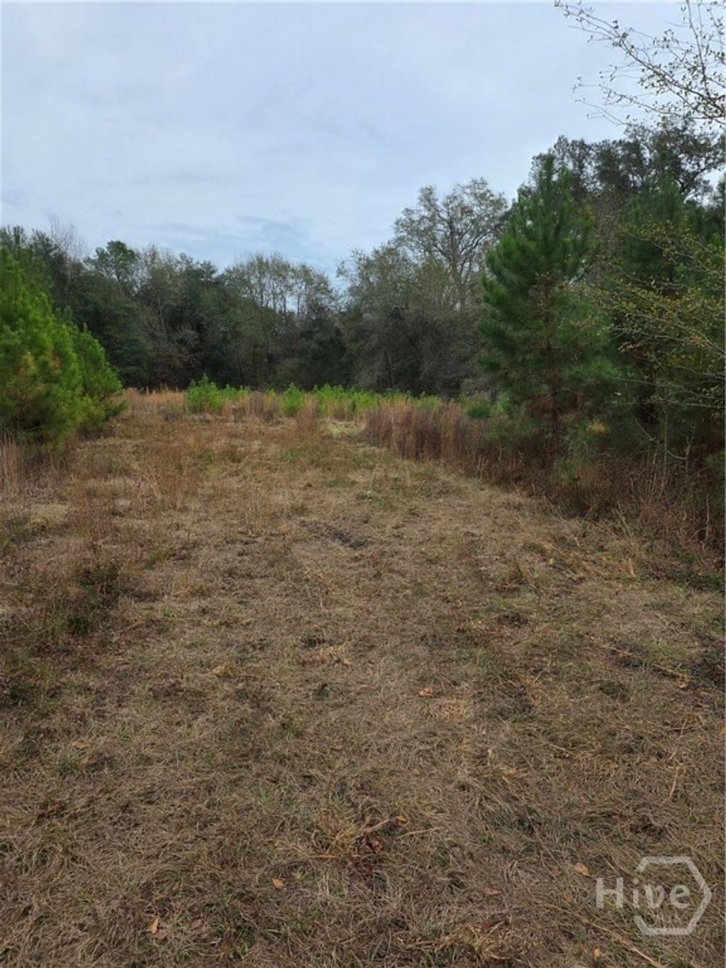 Photo of 861 Brinson Road, Brooklet, GA 30415 (MLS # SA349295)