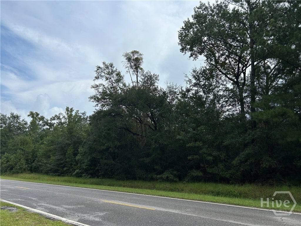 Photo of 0 Barrington Ferry Road, Riceboro, GA 31323 (MLS # SA365024)