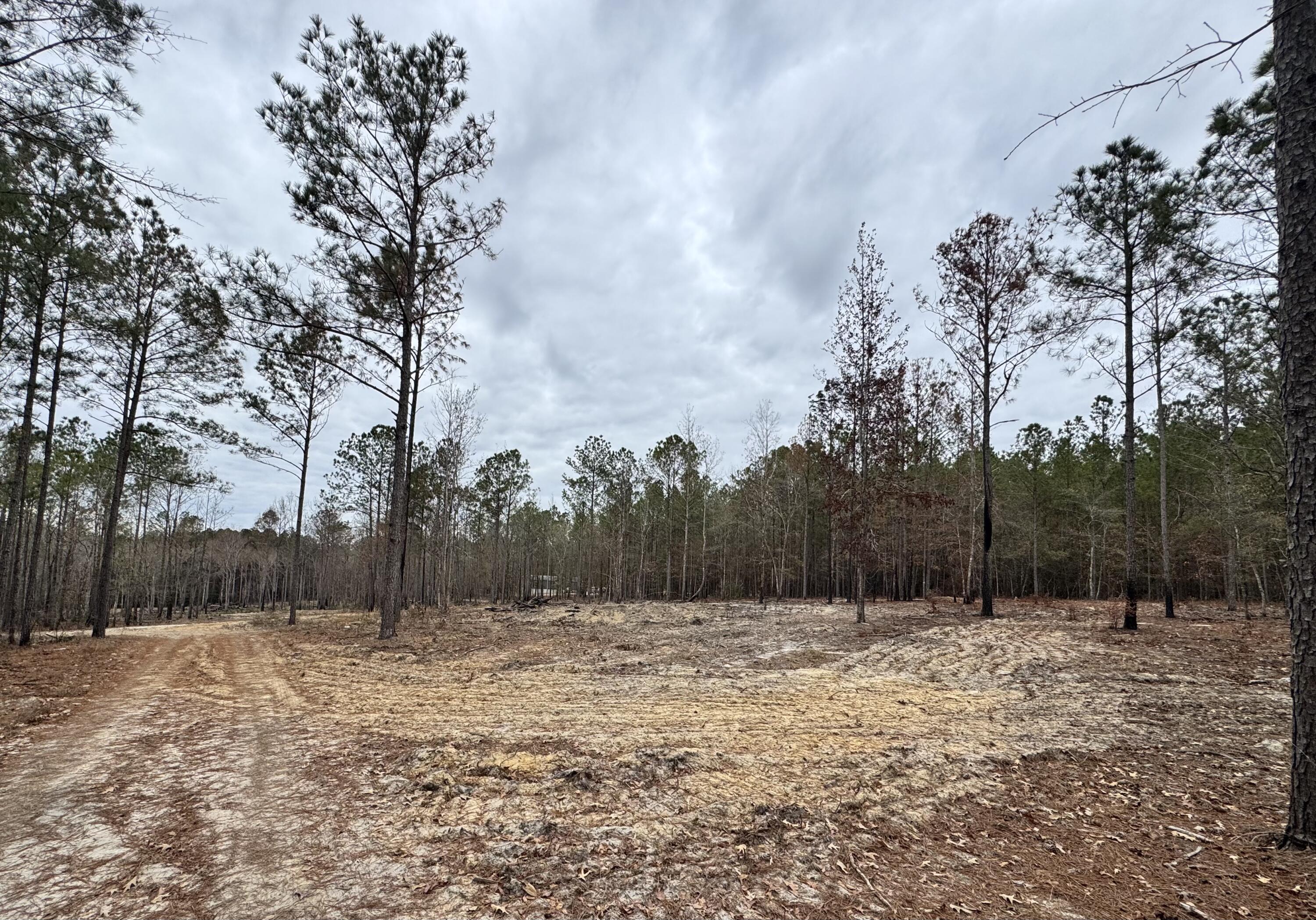 3479 Bastonville Road