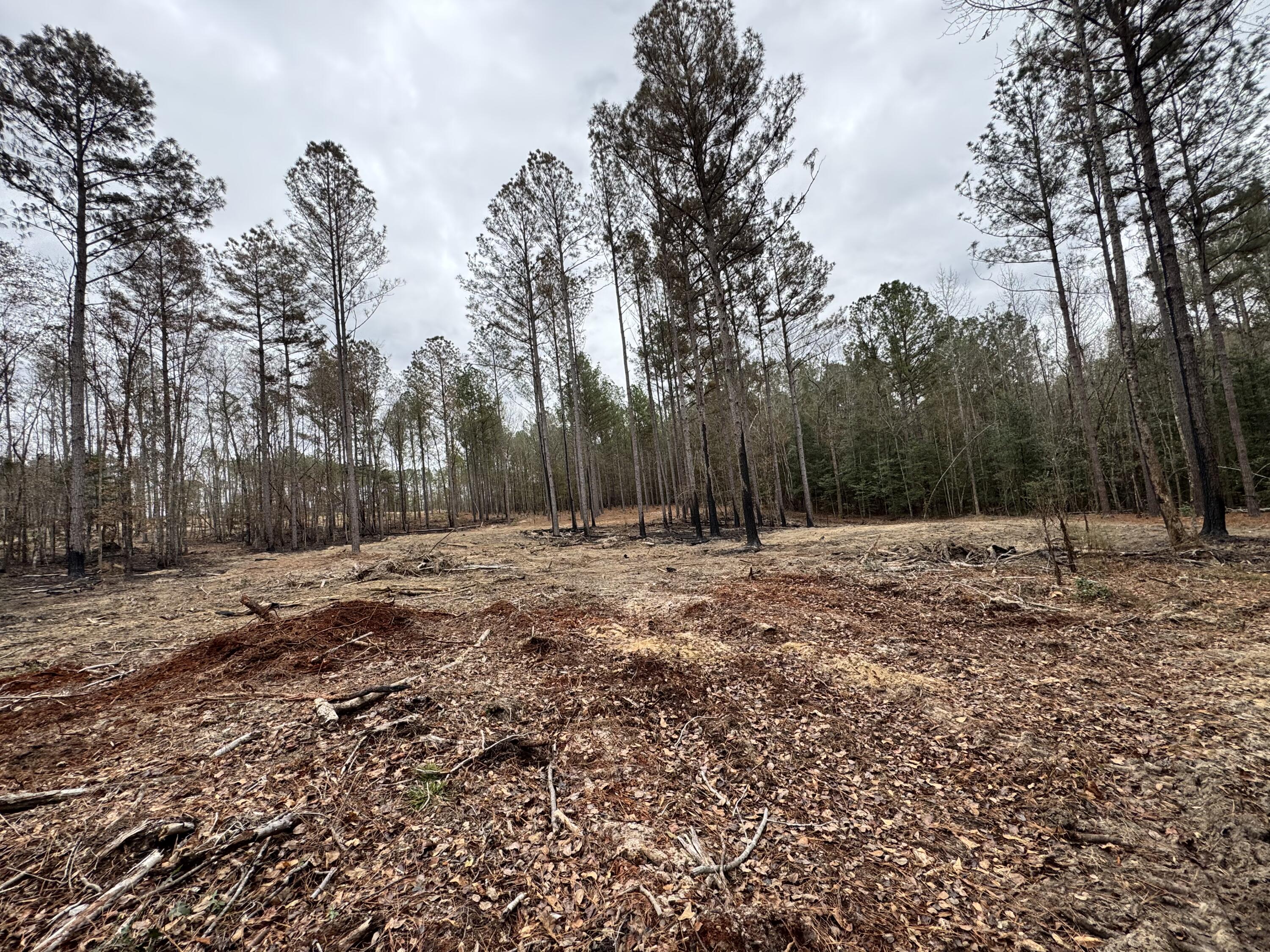 3479 Bastonville Road