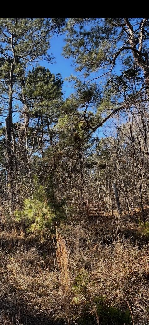 0 Pate Mill Road Warrenton GA 30828