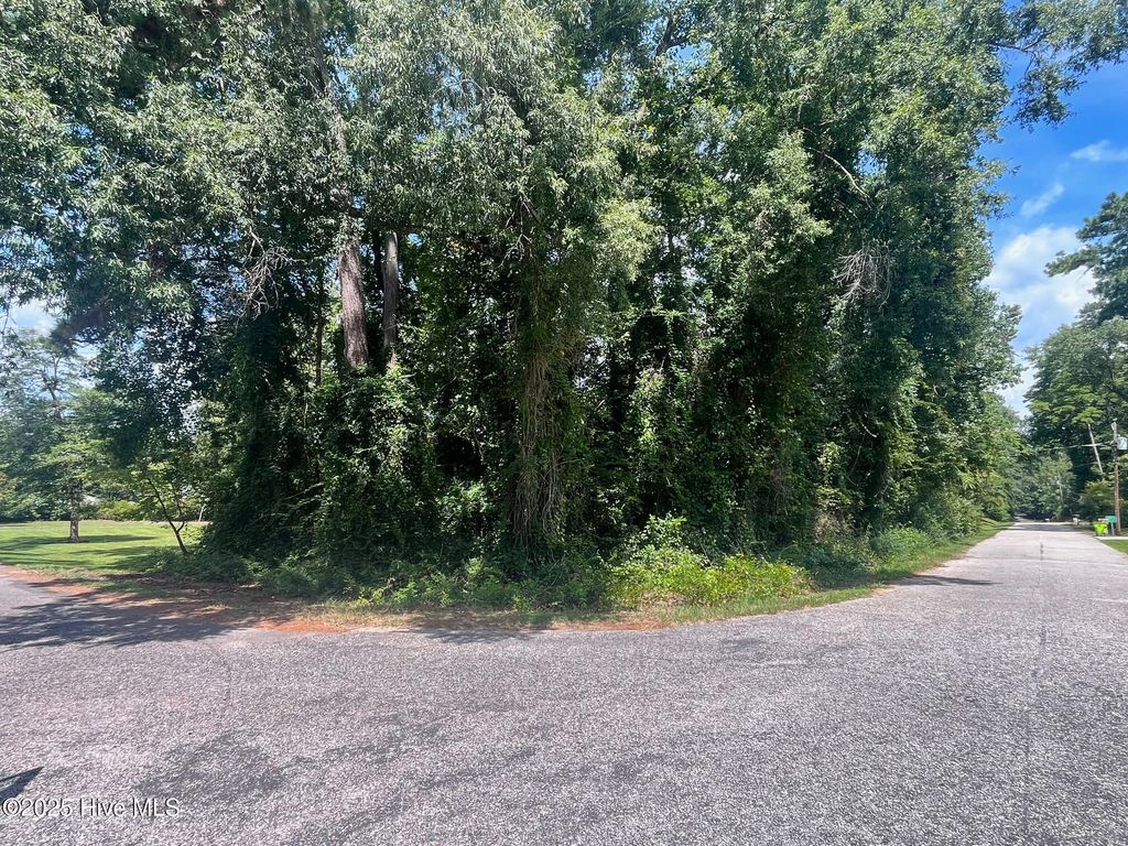Photo of 110 Wildwood Road, Whiteville, NC 28472 (MLS # 100531313)