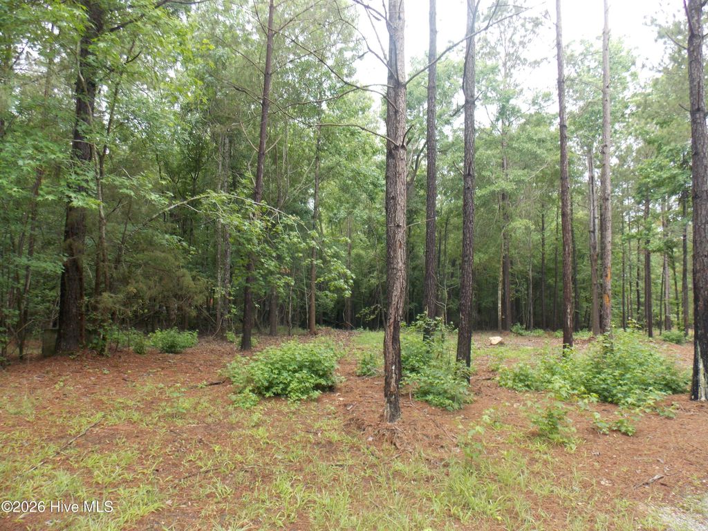 Photo of 1127 Po Folks Lane, Lincolnton, GA 30817 (MLS # 100576393)