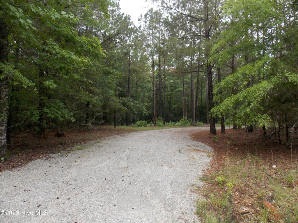 Photo of 1127 Po Folks Lane, Lincolnton, GA 30817 (MLS # 100576393)