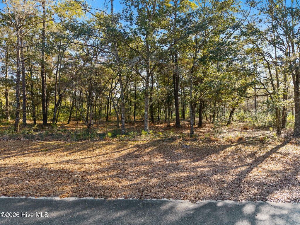 Photo of 2061 Oyster Harbour Parkway SW, Supply, NC 28462 (MLS # 100548749)