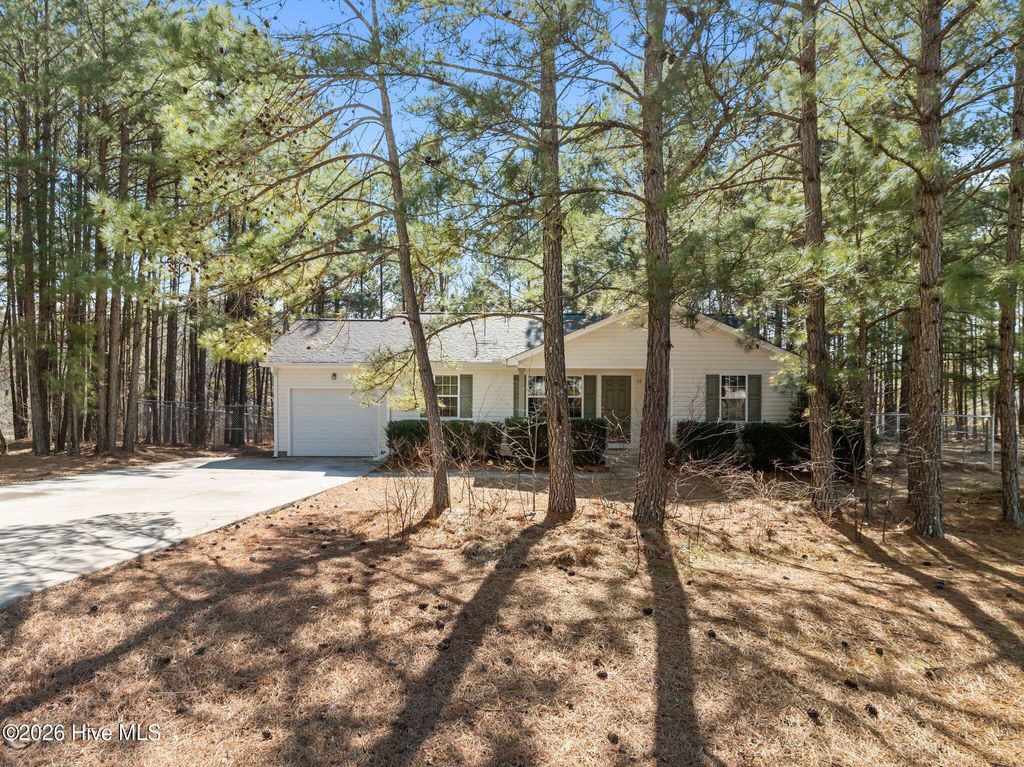Photo of 69 Andorra Place, Angier, NC 27501 (MLS # 100553884)
