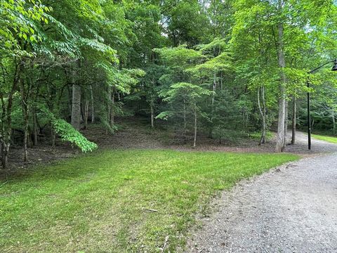 Vacant Land For Sale - 00 Collett Woods Trail<br/> Andrews, NC 28901