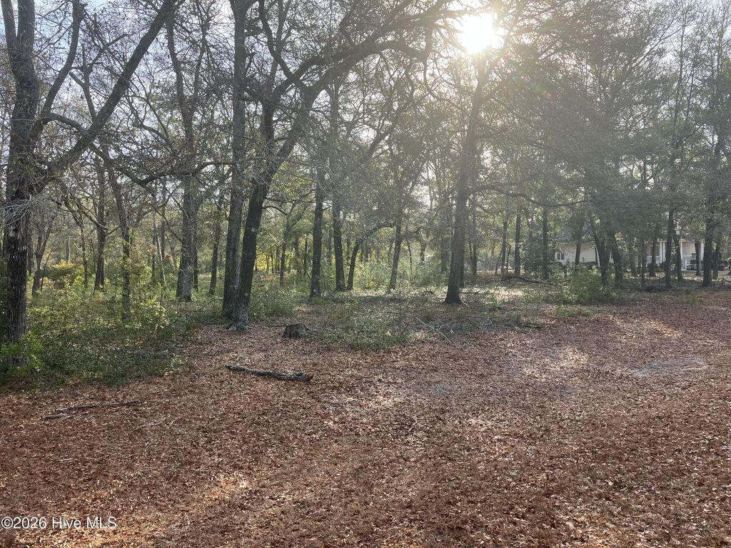 Photo of 2172 Clambake Court SW, Supply, NC 28462 (MLS # 100558388)