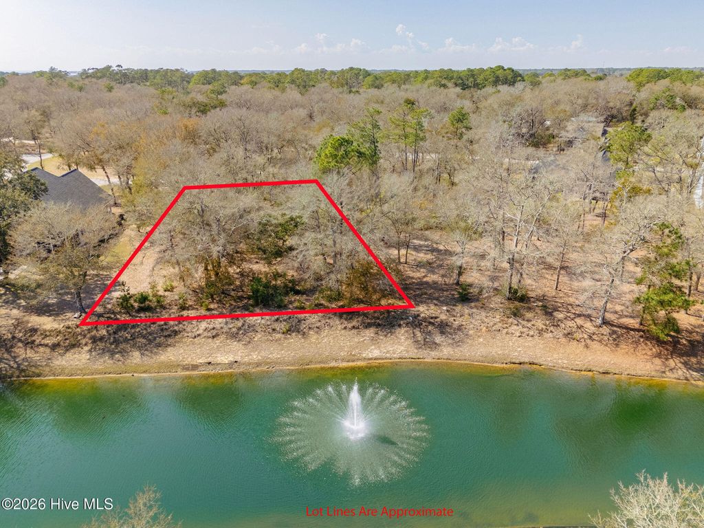 Photo of 2172 Clambake Court SW, Supply, NC 28462 (MLS # 100558388)