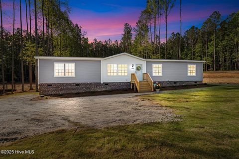 Homes For Sale - 6167 Taylors Gin Road<br/> Castalia, NC 27816