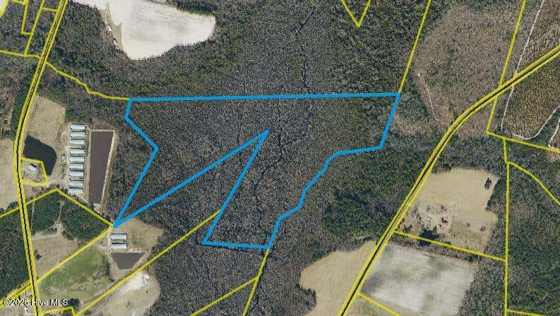 Photo of 60 60 Ac Rom M. Smith Tract, Elizabethtown, NC 28337 (MLS # 100590871)