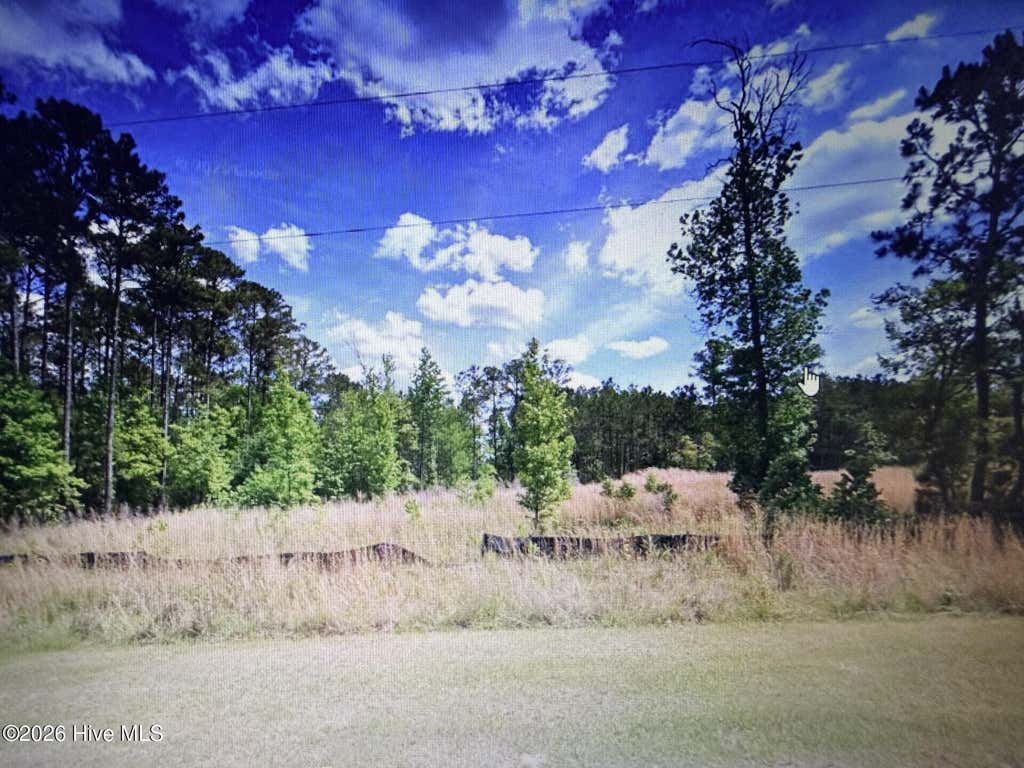 Photo of 1019 Eagles Nest Trail, Tignall, GA 30668 (MLS # 100598357)