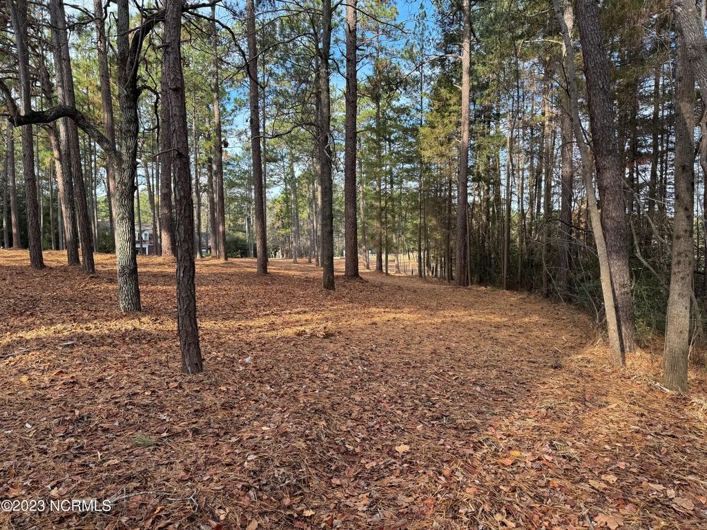 Photo of 275 Lake Dornoch Drive, Pinehurst, NC 28374 (MLS # 100547096)