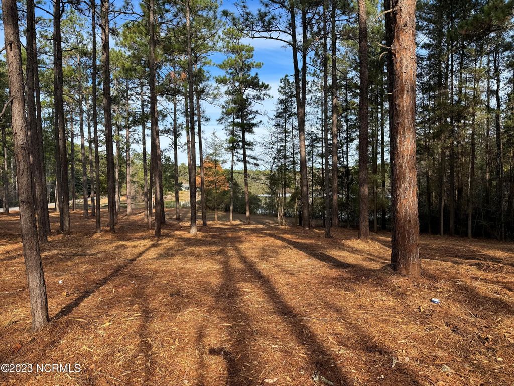 Photo of 275 Lake Dornoch Drive, Pinehurst, NC 28374 (MLS # 100547096)