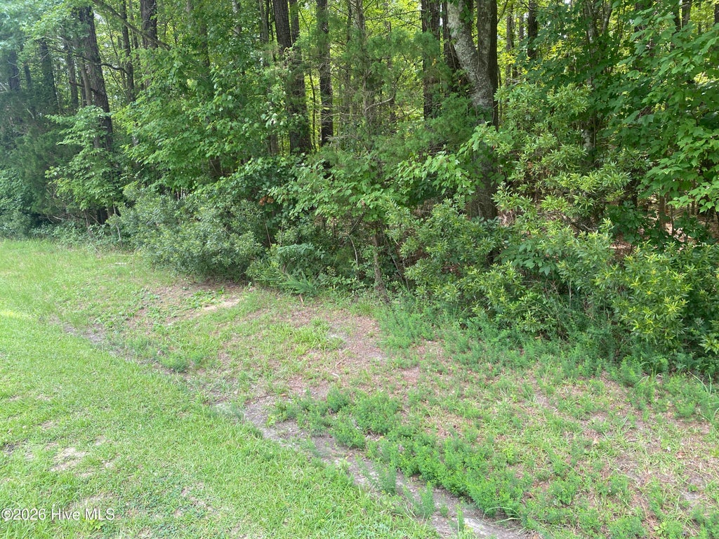 Photo of 20 Hollis Drive, Blounts Creek, NC 27814 (MLS # 100590224)
