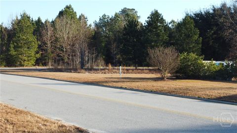Vacant Land For Sale - Sr-21 Highway #C<br/> Springfield, GA 31329